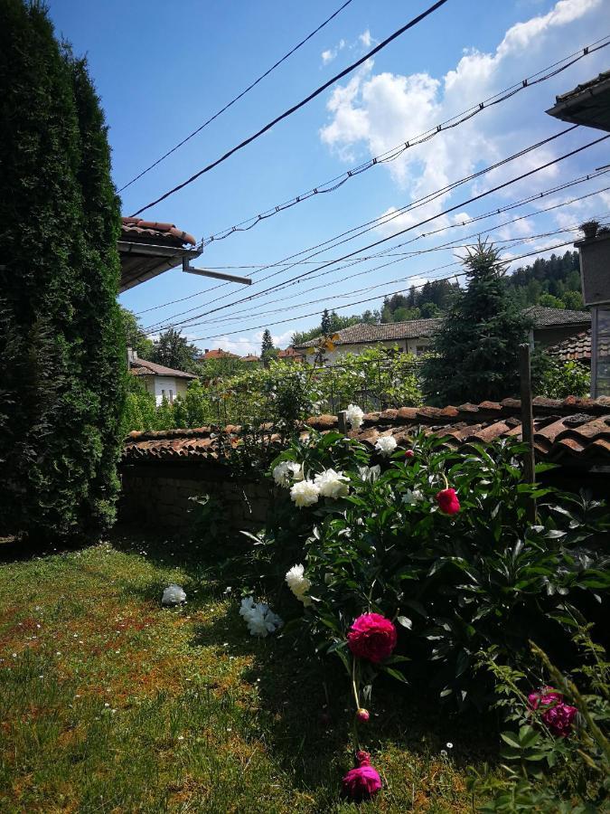 Къща За Гости Роден Край Elena Dış mekan fotoğraf